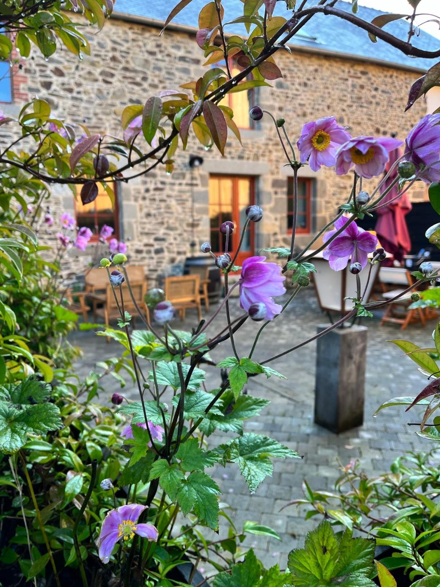 多尔德布列塔尼 Domaine Du Tertre Ychot酒店 外观 照片